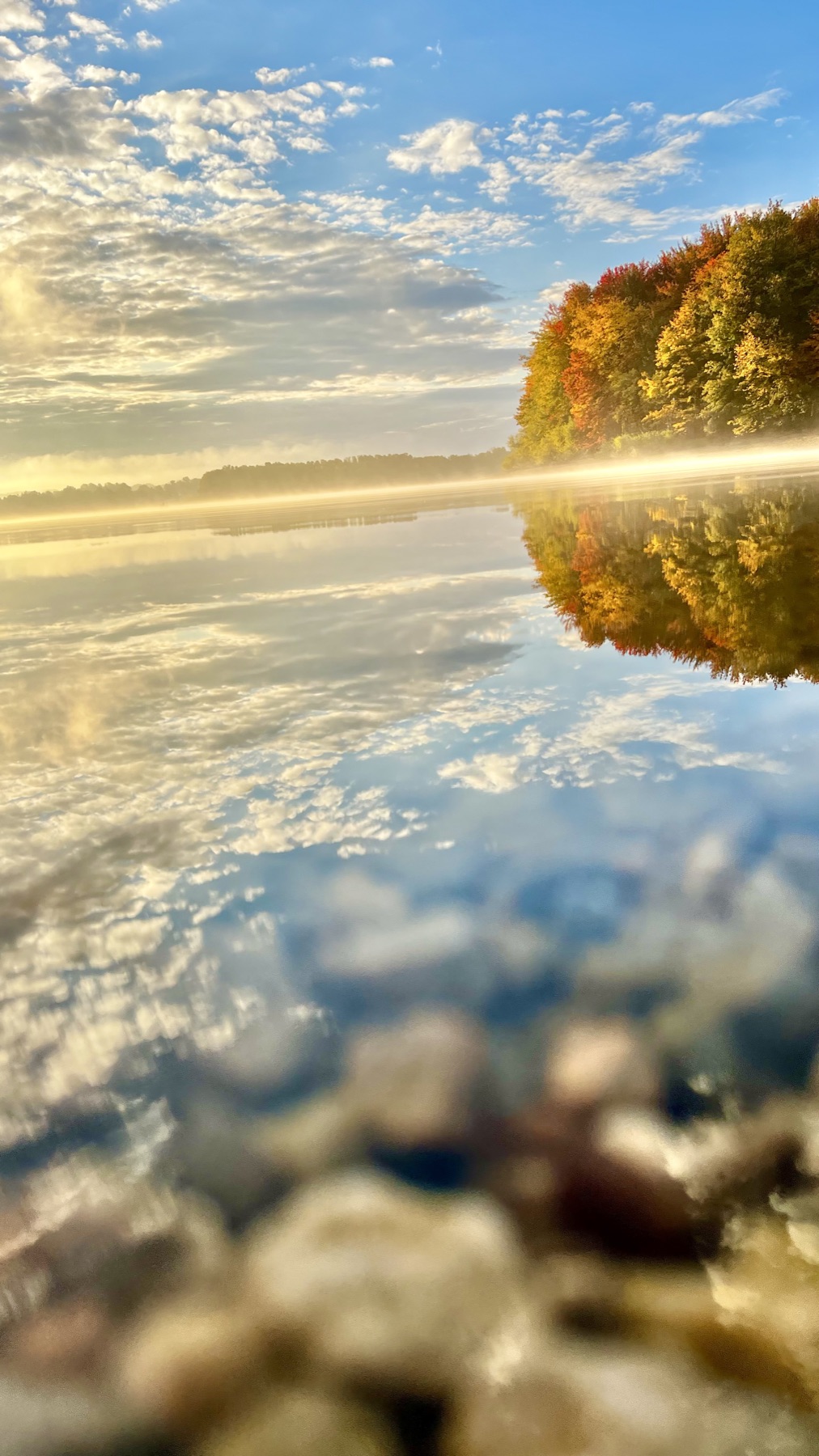 Autumn, mirrored