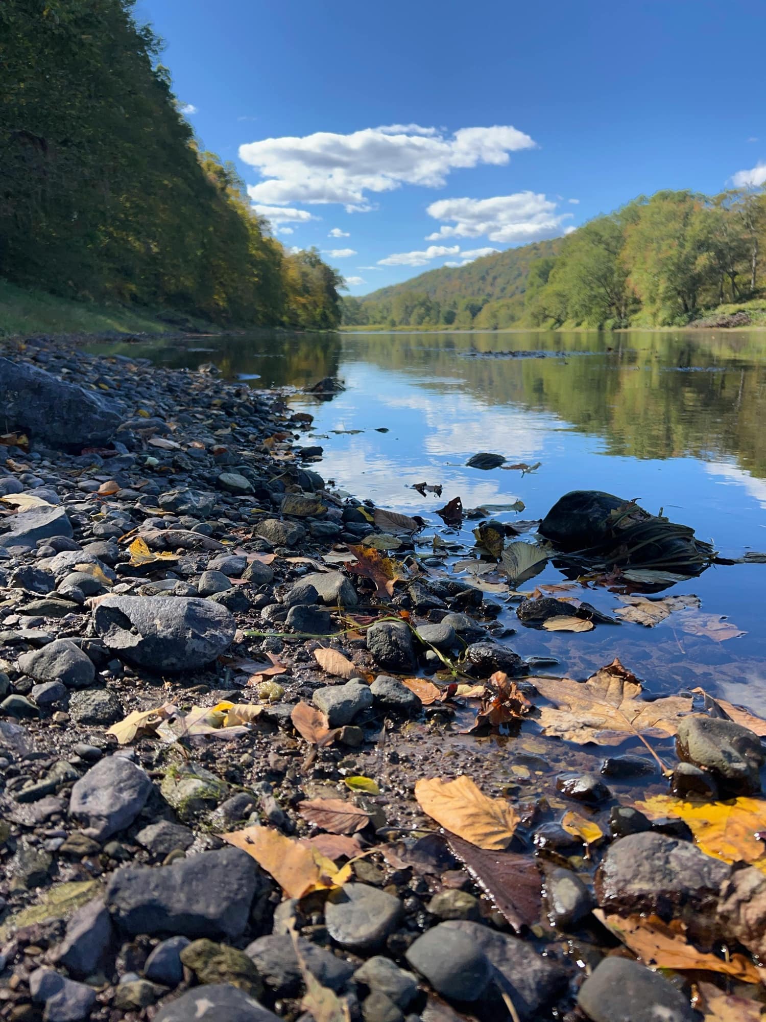 Still water, clear sky